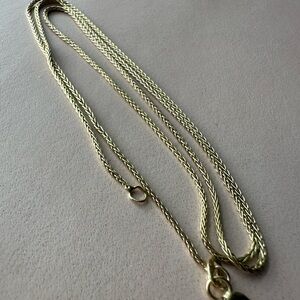 Foxtail wheat Gold Chain Necklace